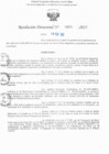 Vista preliminar de documento RD N° 878-2025