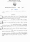 Vista preliminar de documento RD N° 880-2025