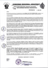 Vista preliminar de documento RESOLUCION N°379