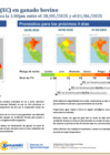 Vista preliminar de documento boletinITH280525