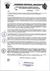 Vista preliminar de documento RESOLUCION N°381