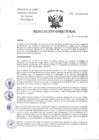 Vista preliminar de documento Resolución Directoral N° 195-2025-INCN-DG-OP