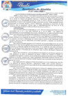 Vista preliminar de documento modificado enviar subir