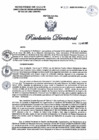 Vista preliminar de documento RD N°312-2025-DG-DIRIS-LC