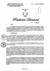 Vista preliminar de documento RD N°317-2025-DG-DIRIS-LC