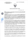 Vista preliminar de documento RD-2241-2025-DSAIA-DIRIS-LE-MINSA