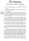 Vista preliminar de documento Resolucion Alcaldia N° 192-25