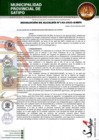 Vista preliminar de documento RESOLUCION DE ALCALDIA N° 192-2025-A-MPS