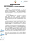 Vista preliminar de documento RESOLUCION DE GERENCIA-000115-2020-GG