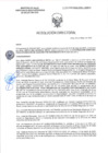Vista preliminar de documento RD-2250-2025-DSAIA-DIRIS-LE-MINSA