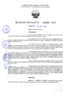 Vista preliminar de documento RD 1488-2025 NX