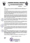 Vista preliminar de documento RESOLUCION N°396