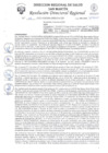 Vista preliminar de documento R.D.R N°76-2025-DG