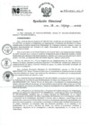 Vista preliminar de documento RD 043-2025-INO-D