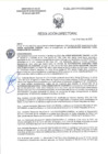 Vista preliminar de documento RD-2262-2025-DSAIA-DIRIS-LE-MINSA