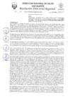 Vista preliminar de documento R.D.R N°77-2025-DG