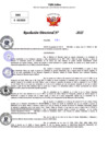 Vista preliminar de documento Resolucion Directoral N° 003204-2025