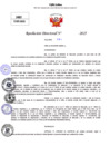 Vista preliminar de documento Resolucion Directoral N° 003206-2025
