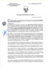 Vista preliminar de documento RD-2271-2025-DSAIA-DIRIS-LE-MINSA