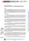 Vista preliminar de documento RU-0045-2025-MIDIS-PNPAIS-UPS