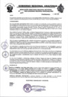 Vista preliminar de documento RESOLUCION N°407