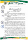 Vista preliminar de documento RESOLUCION DE ALCALDIA N 160-2025-MDSM/A