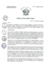 Vista preliminar de documento R.D. N°035-2025-HNAL-DG