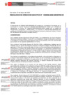 Vista preliminar de documento Resolución Directoral Ejecutiva