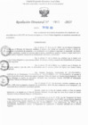 Vista preliminar de documento RD N° 903-2025