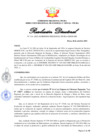 Vista preliminar de documento RD-114-2025