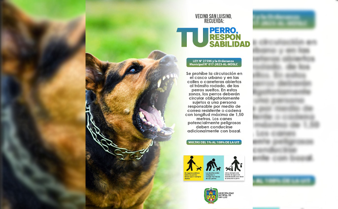 NOTICIAS-1.jpg