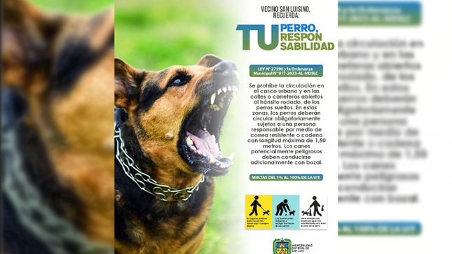 NOTICIAS-1.jpg