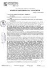 Vista preliminar de documento ACM25N075
