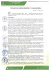 Vista preliminar de documento rgm-0113