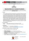 Vista preliminar de documento INFORME TECNICO-030-2025-DRELM