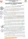Vista preliminar de documento RESOLUCIÓN DE GERENCIA MUNICIPAL N° 101-2025-MDY GM