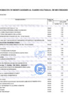 Vista preliminar de documento ANEXO 06 MCMN 163-2025-GRM