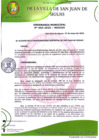 Vista preliminar de documento ORDENANZA MUNICIPAL N° 005-2025-MDSJDS