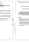 Vista preliminar de documento Bases del proceso de selección de la entidad privada supervisora