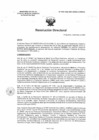 Vista preliminar de documento R.D. 0586-2025-DMID-DIRIS- LE-MINSA