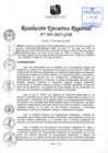 Vista preliminar de documento RER 303-2025-GOB