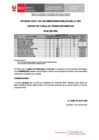 Vista preliminar de documento CAS N° 047-2025 - RESULTADO FINAL