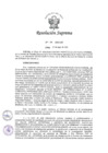Vista preliminar de documento 095-2025-IN