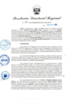 Vista preliminar de documento RDR-346-2025