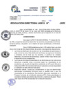 Vista preliminar de documento Resolucion Directoral N° 003220-2025