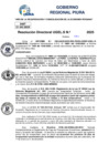 Vista preliminar de documento Resolucion Directoral N° 003221-2025