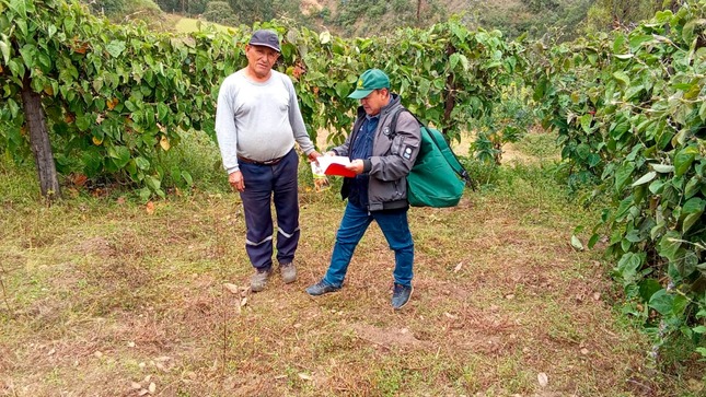 Realizan Encuesta Nacional De Intenciones De Siembra En La Región La Libertad