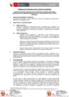 Vista preliminar de documento TDR REQ.2560