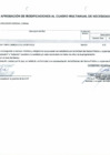 Vista preliminar de documento ANEXO Nº 06: Aprobación de Modificaciones al Cuadro Multianual de Necesidades Nº 00000010 - 2025
