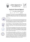 Vista preliminar de documento RDR-0546-2025